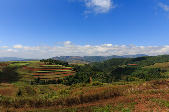 东川红土地