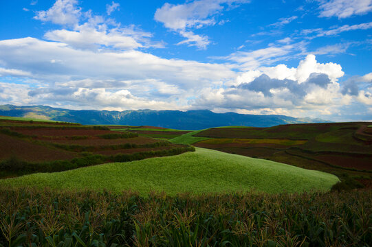 东川红土地