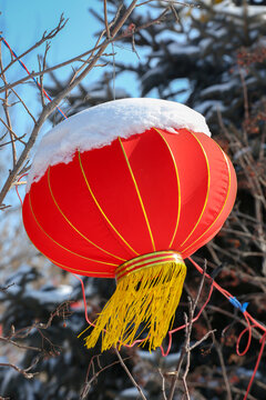 白雪灯笼