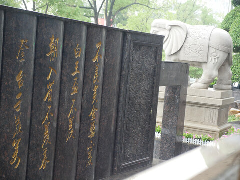 大象