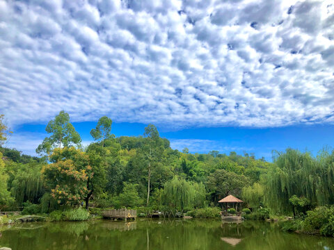 美丽风景