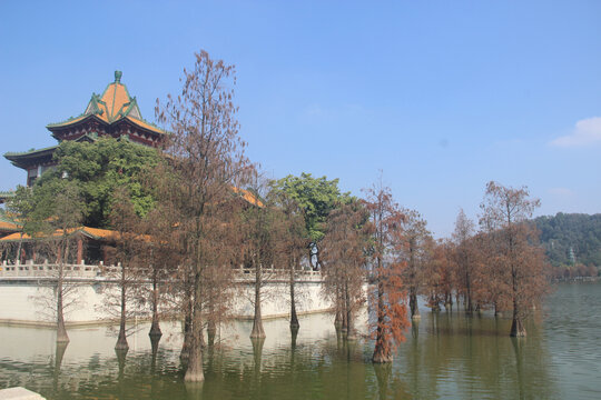 广东顺德顺峰山公园青龙阁