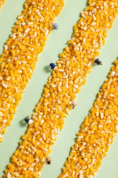 玉米碎农民丰收创意图片
