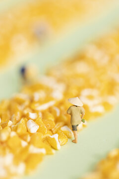 玉米碎微缩创意农民丰收素材
