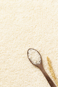 大米创意粮食日素材