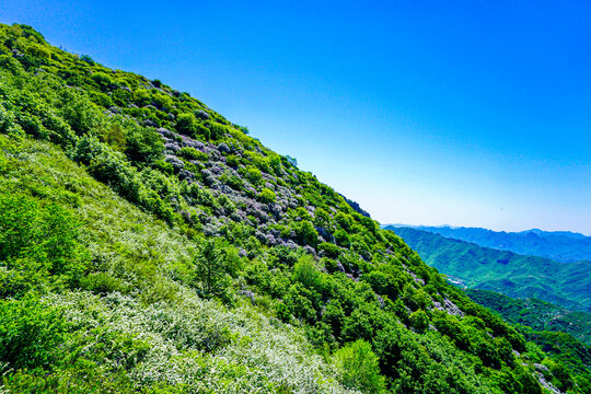 羊角峰