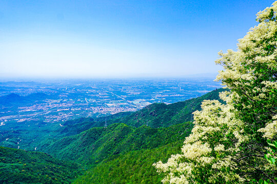 阳台山风光