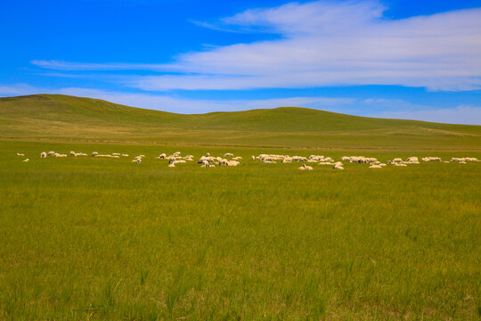 内蒙古乌拉盖天边草原自然风光