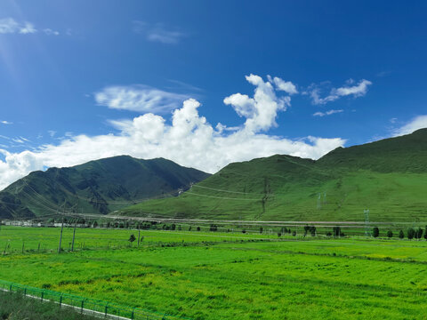 青海祁连山草原