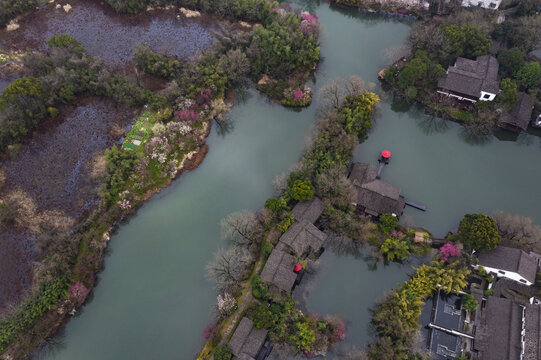 杭州西溪湿地初春梅花盛开航拍