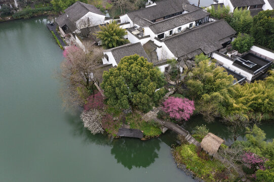 杭州西溪湿地初春梅花盛开航拍