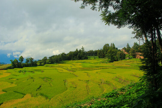 红河哈尼梯田