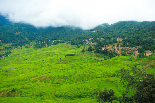 红河哈尼梯田