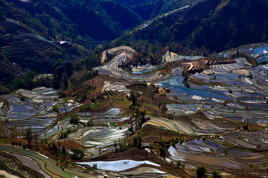 元阳梯田