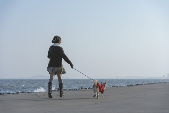 女孩在海边牵着柴犬看海