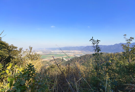 奉化南山