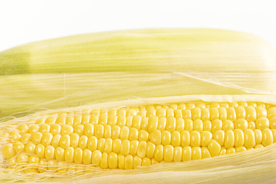 玉米素材白色背景