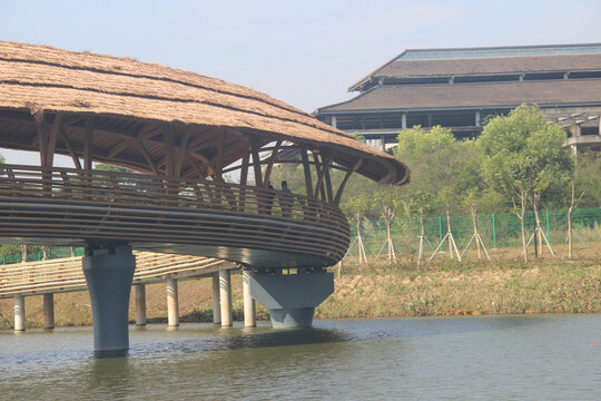 广东东莞东清湖湿地公园草龙桥