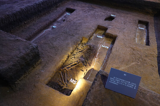 马家浜文化遗址墓葬坑