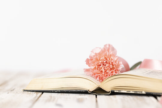 书本上的康乃馨花朵