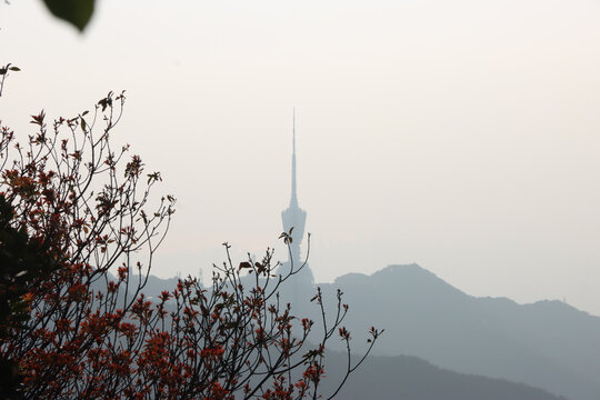 深圳梧桐山