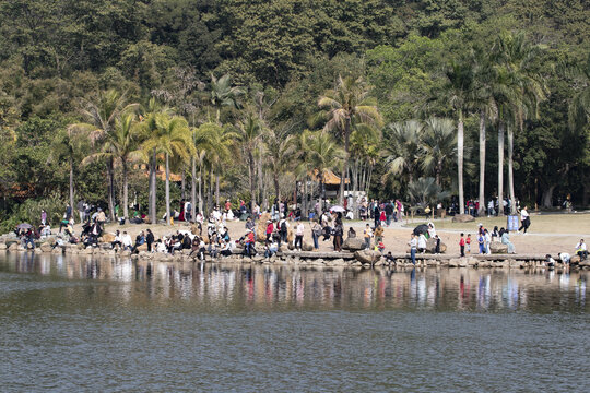 深圳仙湖植物园的游客