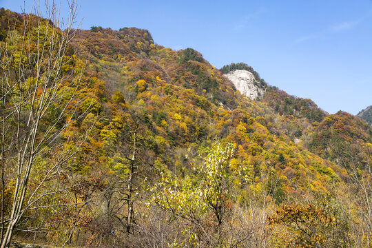 秦岭山脉