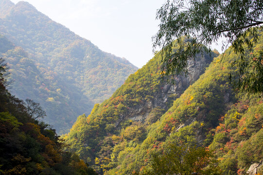 秦岭秋色