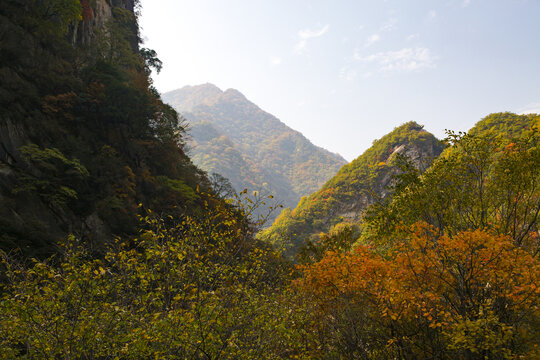 秦岭山秋景