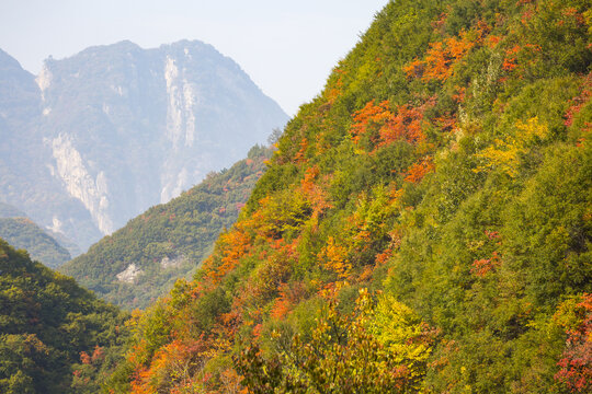 秦岭秋景