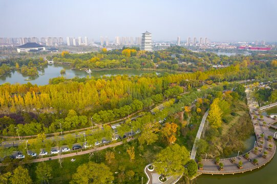 湿地公园秋景