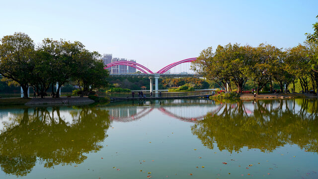 深圳洪湖公园水倒影树木彩虹桥