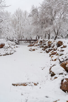 冬天中国沈阳浑河的雪地雾凇