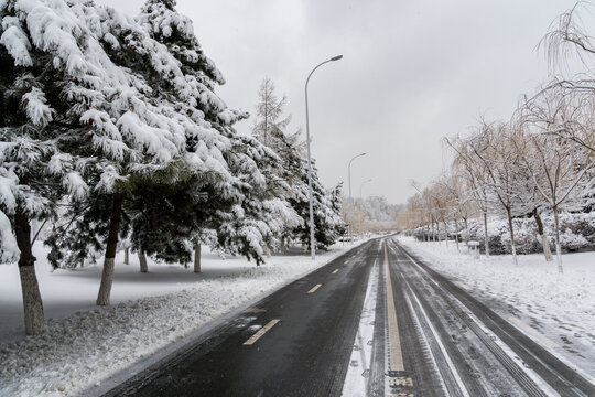 冬天中国沈阳的雪地雾凇