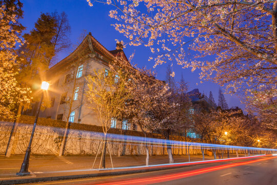 中国南京樱花古建筑夜景