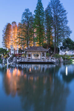 中国江苏南京玄武湖公园夜景