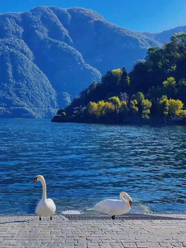 意大利科莫湖自然景观