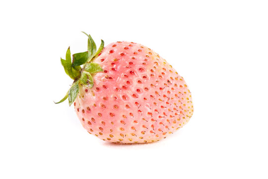 奶油白草莓