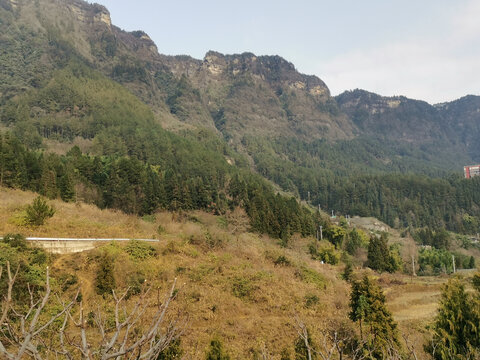 高山