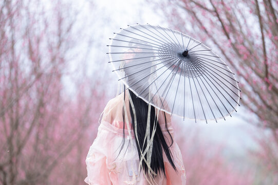 梅林花开古风人像汉服梅花飘逸