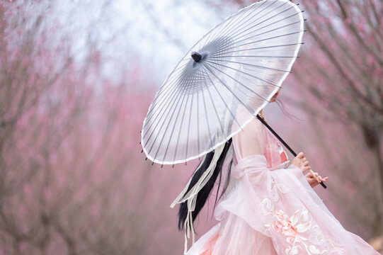 梅林花开古风人像汉服梅花飘逸