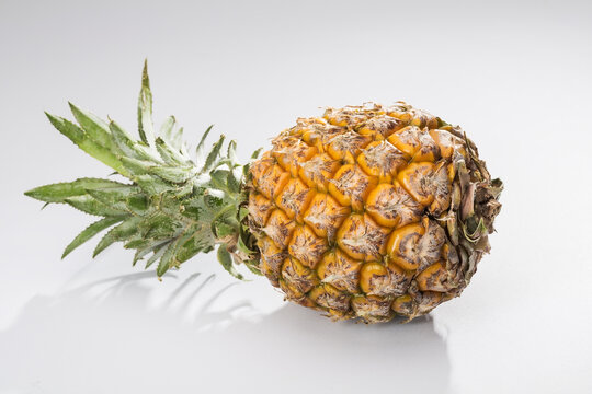 一个菠萝
