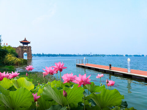 东湖楚城