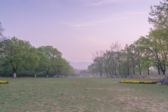 春天中国南京明孝陵风景区