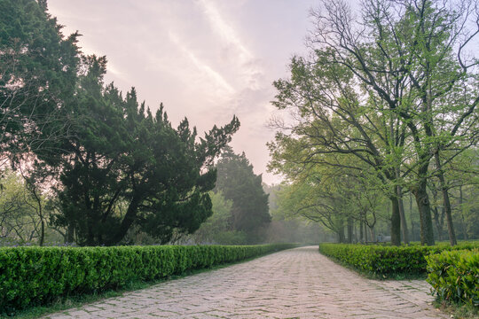 春天中国南京明孝陵风景区