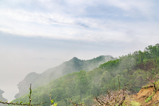 春天中国丹东的湖泊林