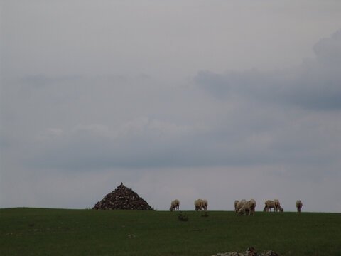 苍天下敖包旁快活的一群羊