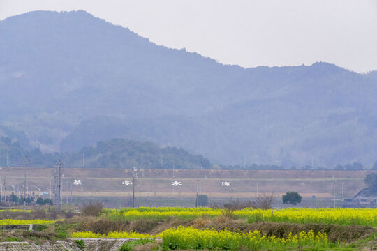 长沙望城区茶亭县油菜花