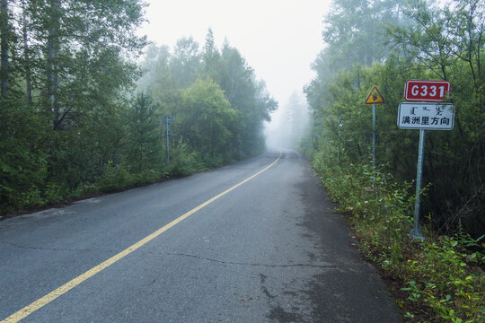 清晨森林公路