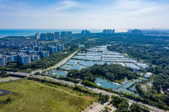 海南琼海潭门镇养殖场鱼塘虾塘